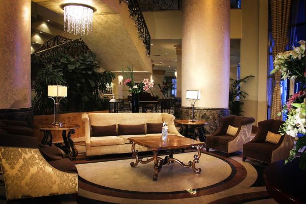 فندق توليب الأسكندرية