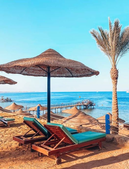 منتجع رنيسانس جولدن فيو شرم الشيخ