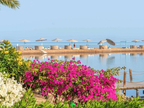 منتجع وسبا موفنبيك الجونة