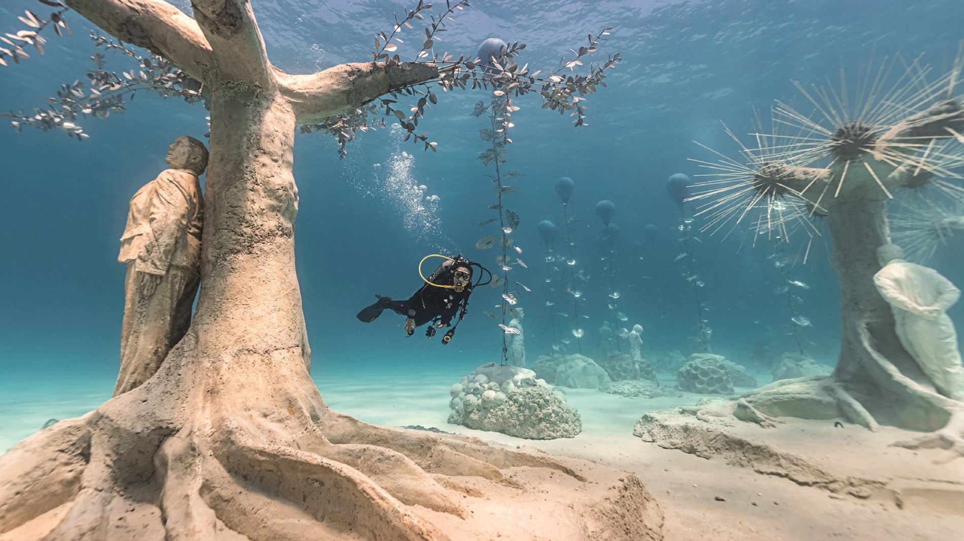 A diving trip to Musan Underwater Park